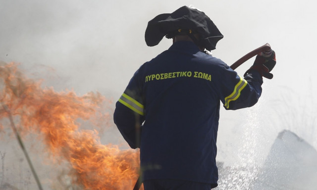 Πυροσβεστική: Συνολικά 30 δασικές πυρκαγιές εκδηλώθηκαν το τελευταίο 24ωρο σε όλη τη χώρα