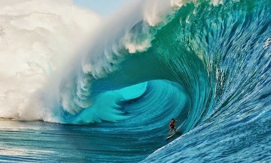 Τασμανία: Σέρφερ επιζεί από μαζική εξαφάνιση - «Είμαι ακόμα ζωντανός»