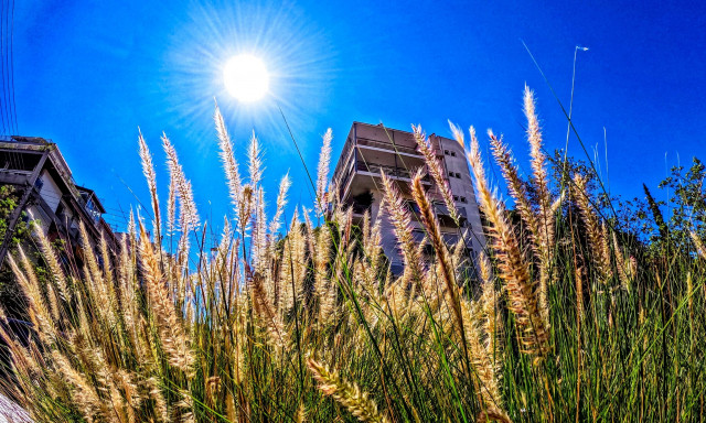 Καιρός: Έρχονται 35άρια - Καλοκαίρι από Δευτέρα