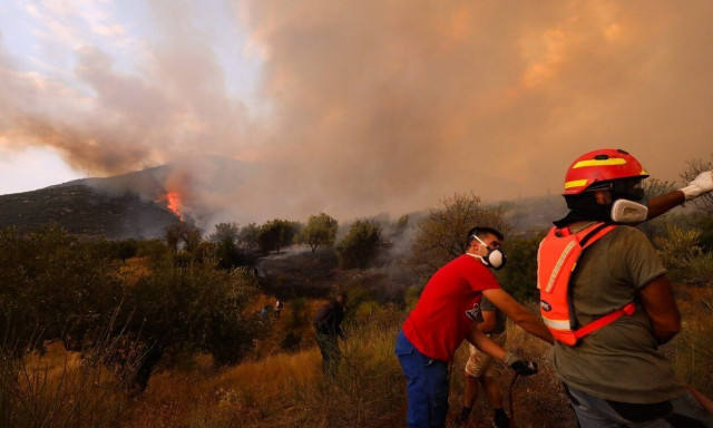 Ηλεία: Νέα σύλληψη για πυρκαγιά από πρόθεση σε χαμηλή βλάστηση εντός οικοπέδου