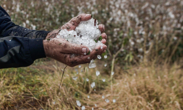 ΕΛΓΑ: Παράταση για τον διαγωνισμό του προγράμματος χαλαζιακής προστασίας