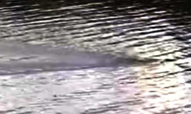 Νέα πλάνα δείχνουν ότι μπορεί να υπάρχουν δύο τέρατα του Λοχ Νες - Δείτε βίντεο