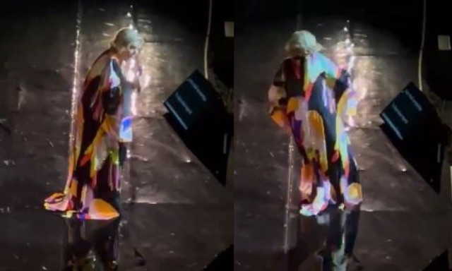 Μαρινέλλα: Η στιγμή που καταρρέει πάνω στην σκηνή - «Παγωμένοι» οι θεατές στο Ηρώδειο