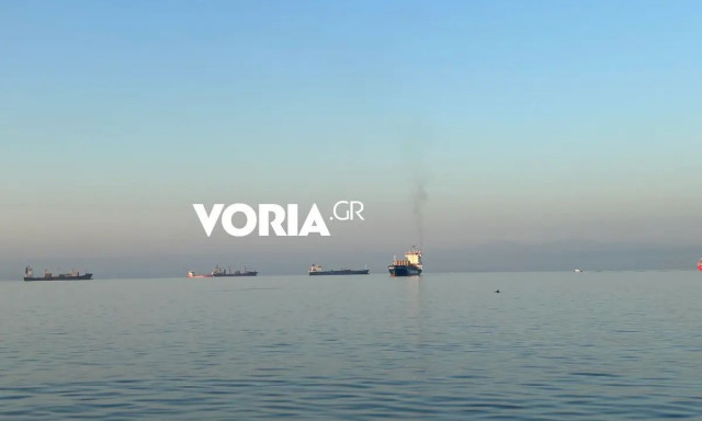 Θεσσαλονίκη: Μεγάλο κοπάδι δελφινιών έκανε βόλτα στον Θερμαϊκό