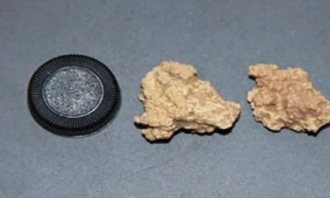 Επιστήμονες ανέλυσαν το DNA από τυρί ηλικίας 3.600 ετών