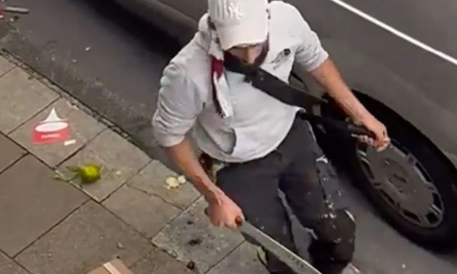 Τρόμος στη Γερμανία: Σύρος «πρόσφυγας» σε αμόκ τραυμάτισε 31 άτομα - Έκαψε και σπίτια