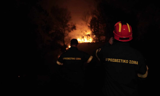 Φωτιά στο Πετρωτό Φθιώτιδας – Ισχυρές πυροσβεστικές δυνάμεις στο σημείο