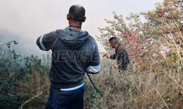 Φωτιά στην Κορινθία: Έκκληση στον Βασίλη Κικίλια μέσω του Newsbomb.gr - «Έχουν καεί πάνω από 30 χλμ»