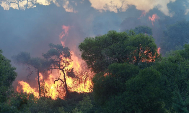 Φωτιά στο Ξυλόκαστρο: Συγκλονίζει η αδερφή του ενός νεκρού - «Έτσι έχασα τον αδερφό μου»