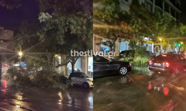 Θεσσαλονίκη: Δεκάδες δέντρα έπεσαν από τους θυελλώδης ανέμους