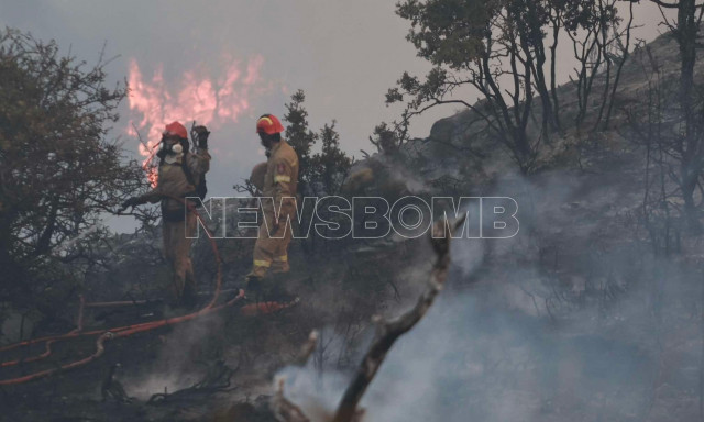 Πρόεδρος πυροσβεστών: Oι 3 παράγοντες που επηρέασαν την εξέλιξη της φωτιά στην Κορινθία