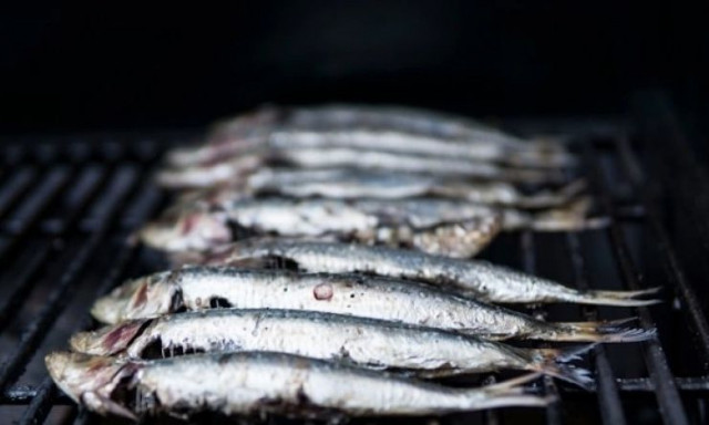 Τα 5 ψάρια που πρέπει να σταματήσετε να τρώτε