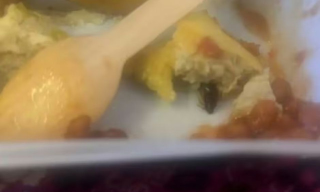 Αηδιαστικό: Σέρβιραν στην πτήση ομελέτα με κατσαρίδα