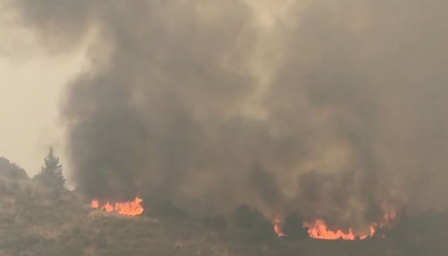 Ξυλόκαστρο: Πρόστιμο 3.000 ευρώ στον αντιδήμαρχο που κάπνιζε τα μελίσσια την ώρα της φωτιάς