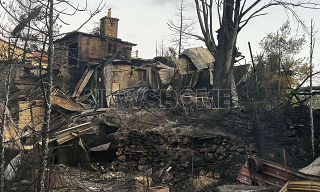 Φωτιά στην Κορινθία: Κλιμάκια του ΕΛΓΑ στις πληγείσες περιοχές για την καταγραφή των ζημιών