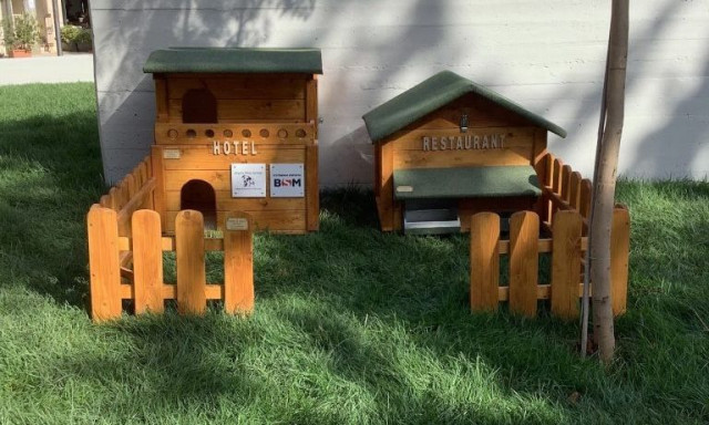 Παγκόσμια Ημέρα Ζώων: Τοποθέτηση ταϊστρών για αδέσποτες γάτες στη Νέα Ιωνία