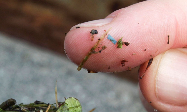 Τα μικροπλαστικά διεισδύουν στον εγκέφαλο, δείχνουν μελέτες - Δεν μένει τίποτα ανέγγιχτο