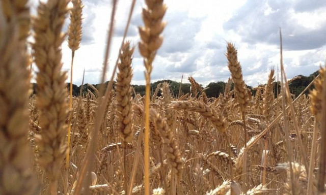 Γιάννης Βάγγος - Πρ. Αγροτών : Το λάθος του ΟΠΕΚΕΠΕ κοστίζει μέχρι και 16.000 ευρώ στον καθέναν μας