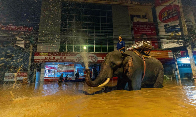 Ελέφαντες βοηθούν στις προσπάθειες ανακούφισης από τις πλημμύρες στη βόρεια Ταϊλάνδη