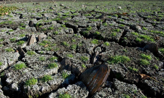 Καιρός: «Θα πούμε το νερό, νεράκι» - Τι λένε οι μετεωρολόγοι για βροχές τον Νοέμβριο