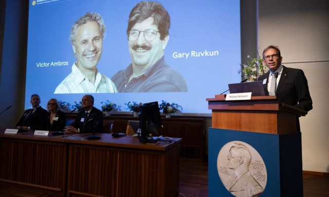 Η πρωτοποριακή ανακάλυψη των microRNA και ο ρόλος τους στη ρύθμιση των γονιδίων