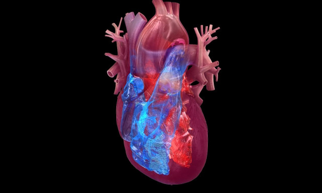 Επιστήμονες βρήκαν τρόπο να βοηθήσουν την ανθρώπινη καρδιά να θεραπεύει τον εαυτό της