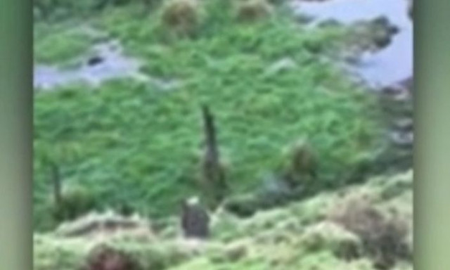 Λύθηκε το μυστήριο με αγνοούμενο πατέρα και των παιδιών του μετά από 3 χρόνια