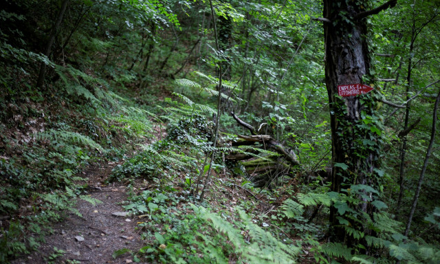 Επιχείρηση διάσωσης τραυματία στον Όλυμπο με ελικόπτερο