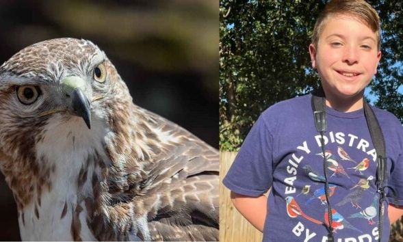 Ο γητευτής των πουλιών - Παιδί «μιλάει» με πτηνά και σοκάρει το ίντερνετ