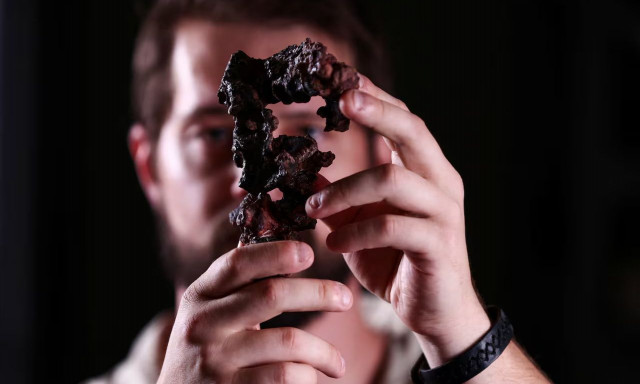 Βραζιλία: Ανακαλύφθηκε αρχαίο απολίθωμα δεινοσαύρου – Χρονολογείται πριν από 237 εκατ. χρόνια