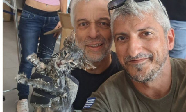 Άγιος Δημήτριος: Αστυνομικοί έσωσαν γατάκι που είχε παγιδευτεί σε σωλήνα