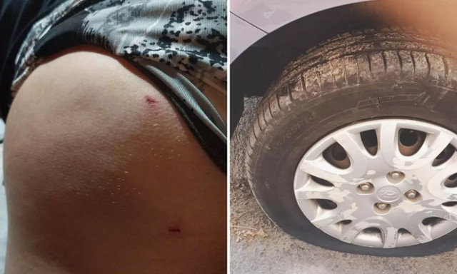 Κρήτη: Ανησυχία για αγέλες αδέσποτων σκυλιών στο Αρκαλοχώρι