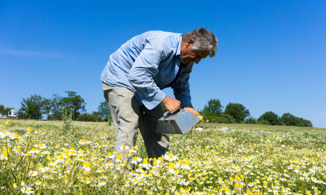 Ελεύθεροι επαγγελματίες – αγρότες: Οι ασφαλιστικές τους εισφορές αυξάνονται από το 2025