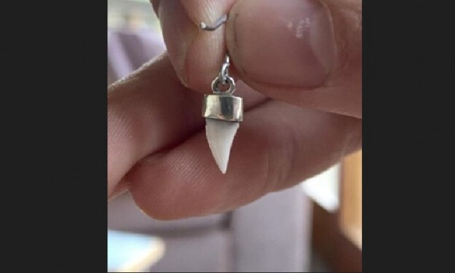 Αγόρι επιβίωσε από επίθεση καρχαρία - Βρήκε δόντι του στο χέρι και το έκανε σκουλαρίκι