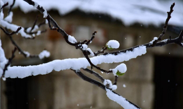 Καιρός: Έρχονται χιόνια σε λίγες ημέρες - Πρόβλεψη Τσατραφύλια για ουκρανικό ψύχος