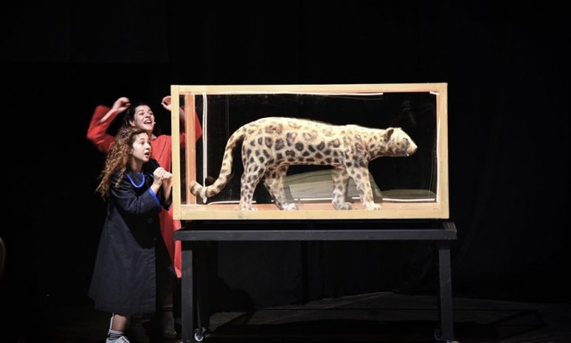 «Το καπλάνι της βιτρίνας»: Έξτρα παράσταση λόγω μεγάλης ανταπόκρισης