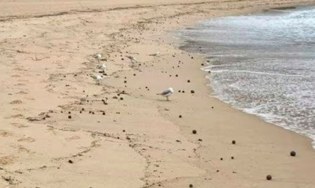 Μυστήριο με μαύρες μπάλες που ξεβράζει η θάλασσα στην Αυστραλία