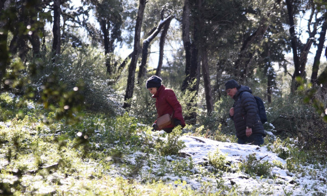 Καιρός: Ισχυροί άνεμοι, βροχές και… χιόνια τις επόμενες μέρες – Πότε ανεβαίνει ξανά η θερμοκρασία
