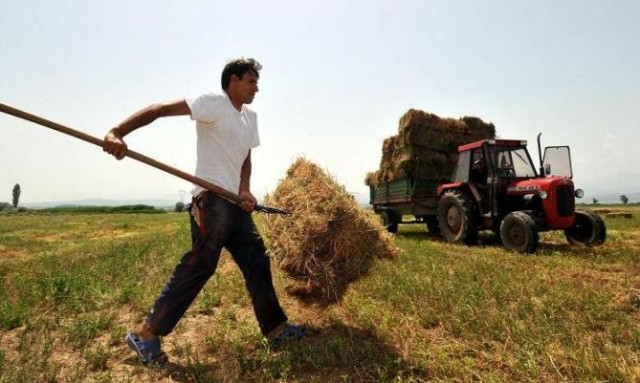 ΟΠΕΚΕΠΕ: Σχέδιο δράσης για την εξυγίανση του - Πώς διευκολύνονται οι πληρωμές προς τους αγρότες