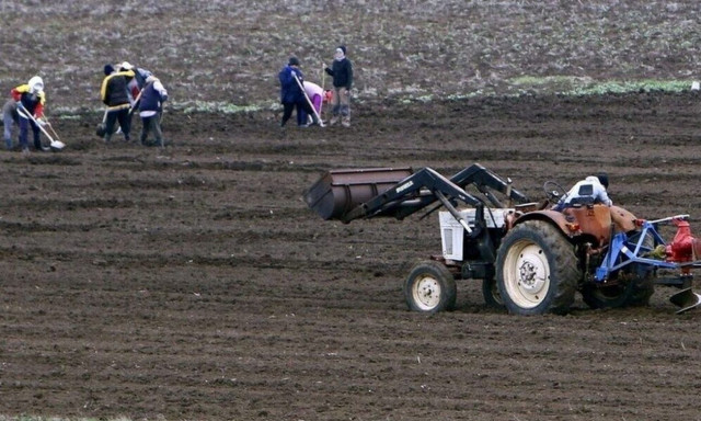 Το Σχέδιο Εξυγίανσης του ΟΠΕΚΕΠΕ - Πώς διευκολύνονται οι πληρωμές προς τους αγρότες - παραγωγούς