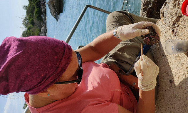 Τέσσερις Ευρωπαίοι ερευνητές ενώνουν τις δυνάμεις τους για τα επικίνδυνα μικροπλαστικά σωματίδια