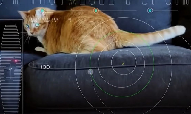 Η NASA προέβαλε βίντεο με μια γάτα στο διάστημα να... κυνηγάει το λέιζερ