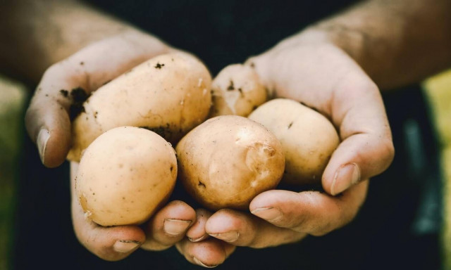 Επιστήμονες εντόπισαν την προέλευση της «αγάπης» μας για τους υδατάνθρακες