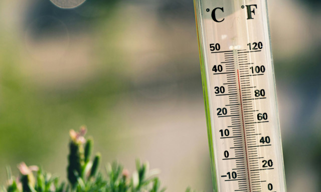 Δολοφονία με υδράργυρο: Η σύζυγος του 60χρονου είχε αγοράσει 18 θερμόμετρα - Όσα είπε στην απολογία