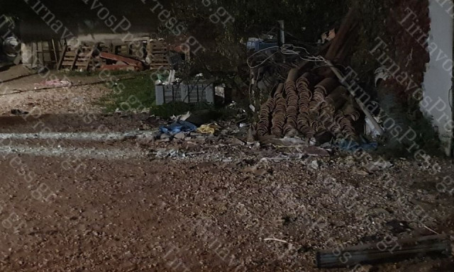 Τύρναβος: Συνελήφθη ο γιος της 80χρονης που κατασπάραξαν 10 σκυλιά