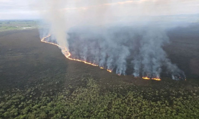 Νέα Ζηλανδία: Σε εξέλιξη τεράστια πυρκαγιά σε υγροβιότοπο της χώρας - Φιλοξενεί απειλούμενα είδη