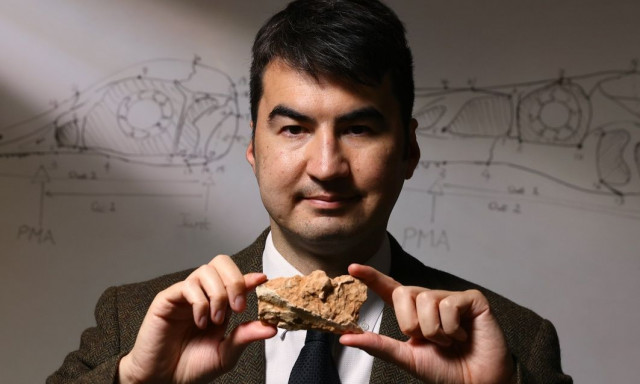 Χονγκ Κονγκ: Βρέθηκαν απολιθώματα δεινοσαύρων 145 εκατομμυρίων χρόνων