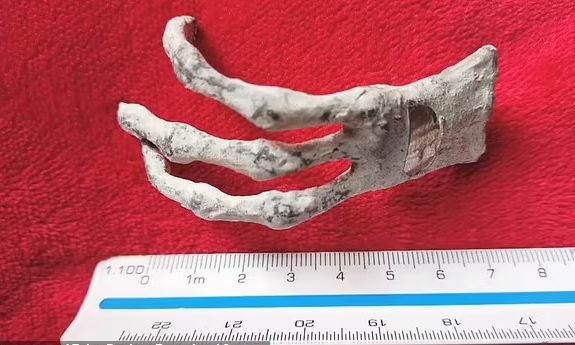 Περού: Οι «εξωγήινες μούμιες» της Νάζκα - Τα περίεργα ευρήματα στο τριδάκτυλο χέρι