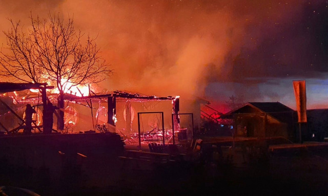 Ρουμανία: Δασική πυρκαγιά στην επαρχία Μπρασόβ