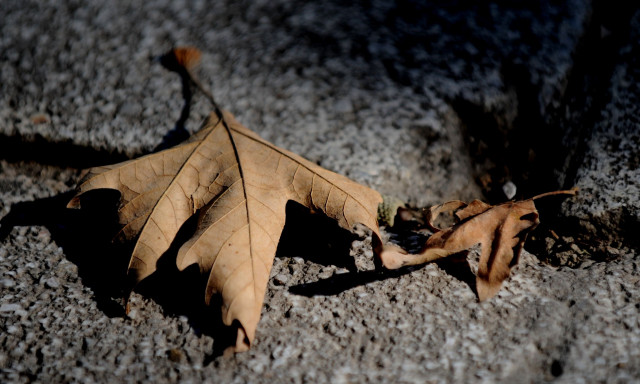 Καιρός: Ολική ανατροπή τον Νοέμβριο - Έρχονται «ψυχρά μονοπάτια» και κατρακύλα του υδράργυρου